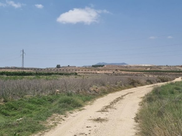 Land in Pinoso - Caza De Casa