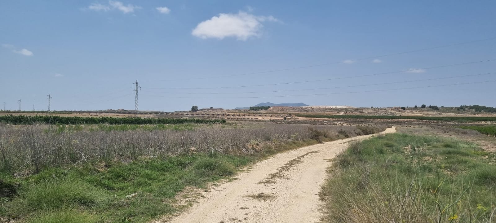 06464ca2115f82c1 Land in Pinoso - Caza De Casa