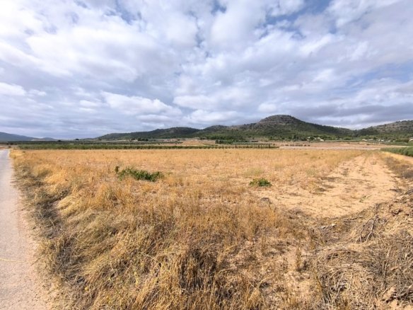 55,162 m² Land in Yecla - Caza De Casa