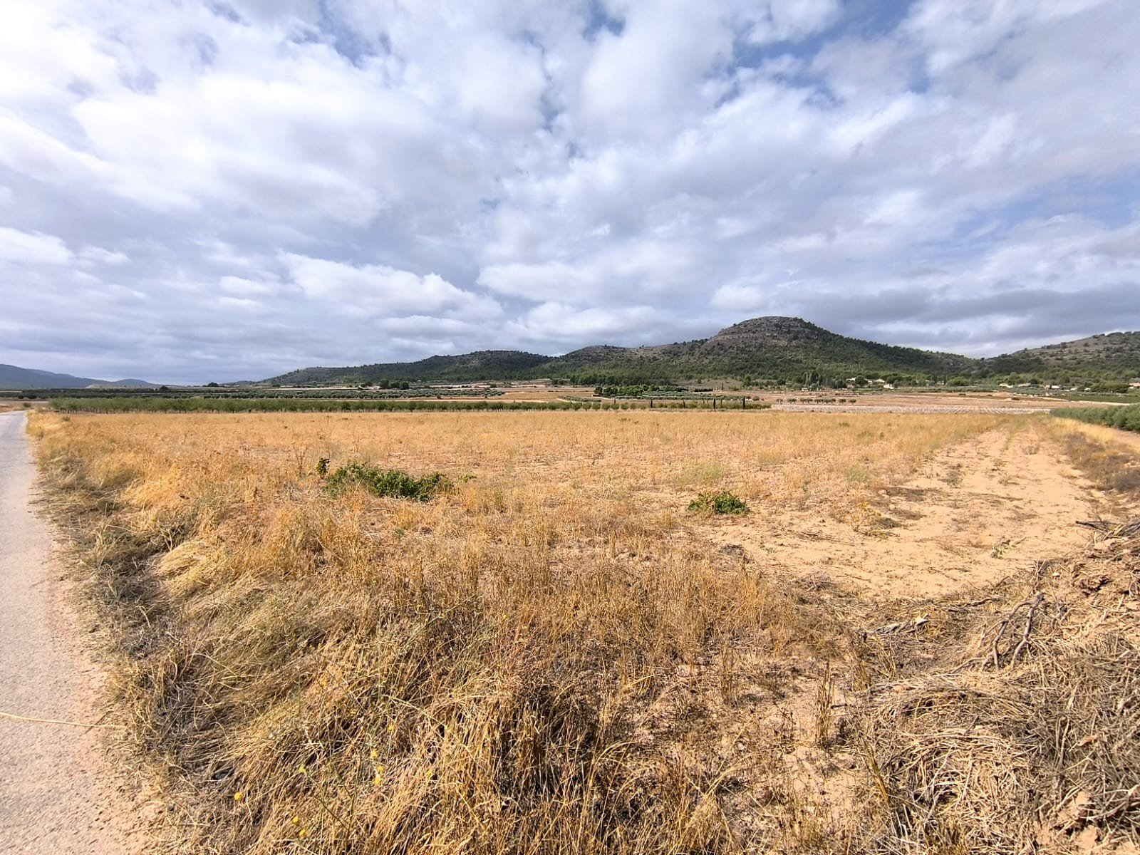 55,162 m² Land in Yecla - Caza De Casa