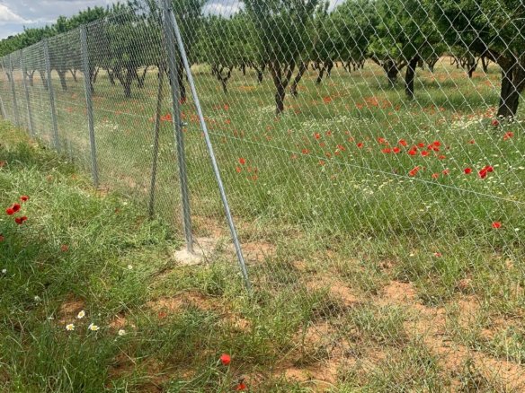 40,000 m² Land in Ayora - Caza De Casa