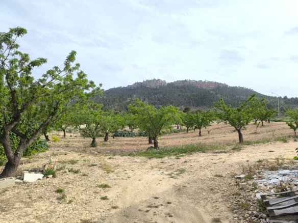 7 Bedroom 1 Bathroom Country House in Jumilla - Caza De Casa