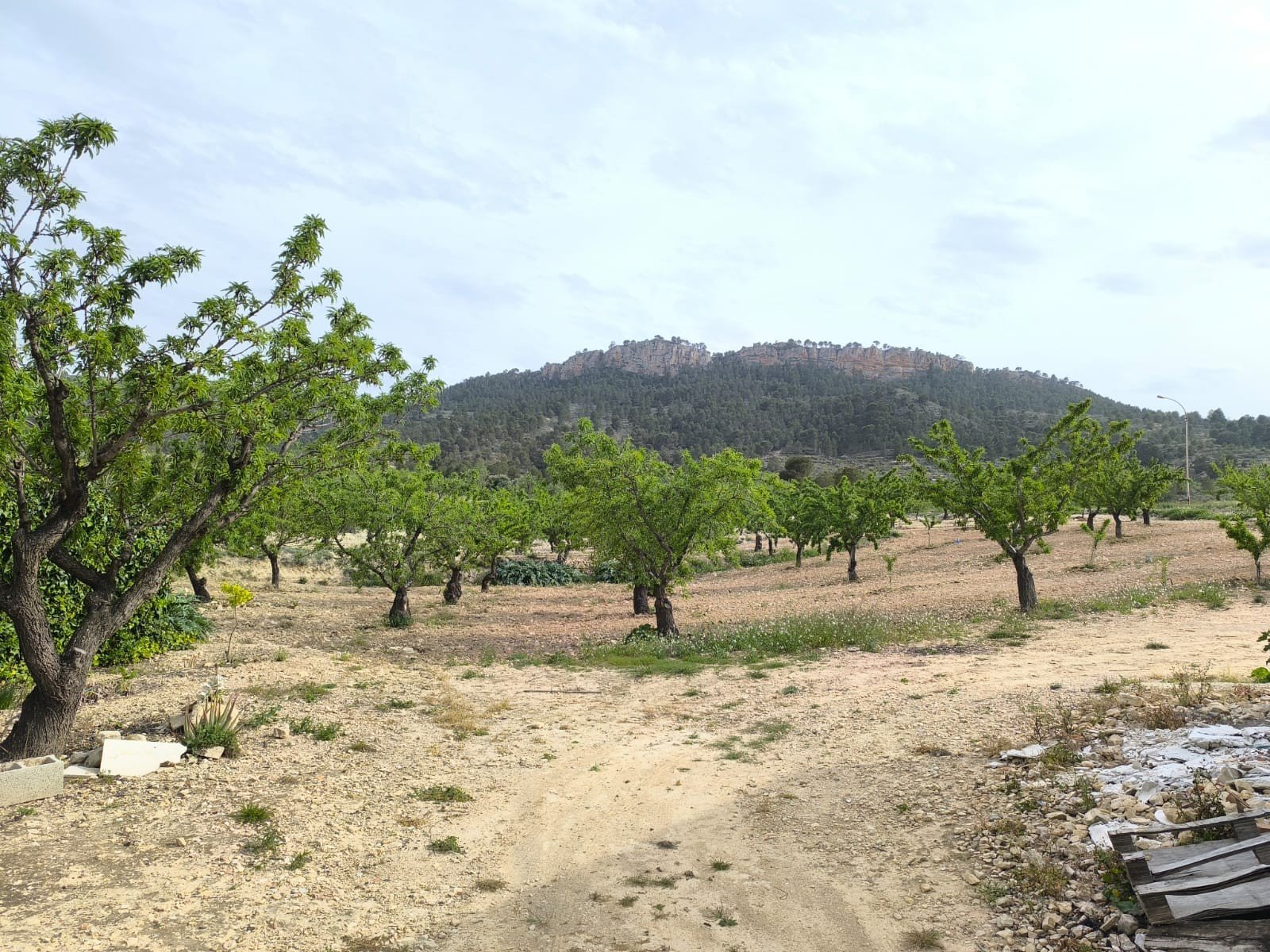 7 Bedroom 1 Bathroom Country House in Jumilla - Caza De Casa