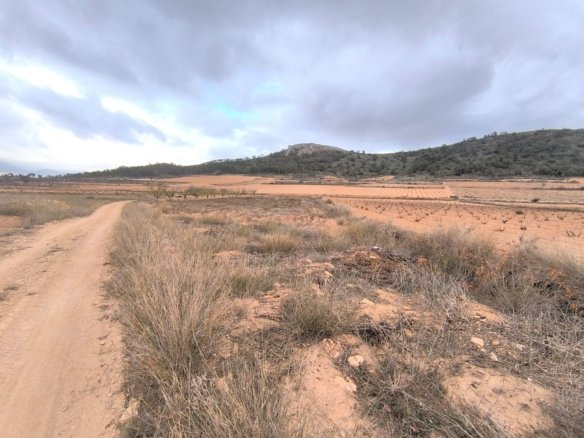 3,775 m² Land in La Solana - Caza De Casa