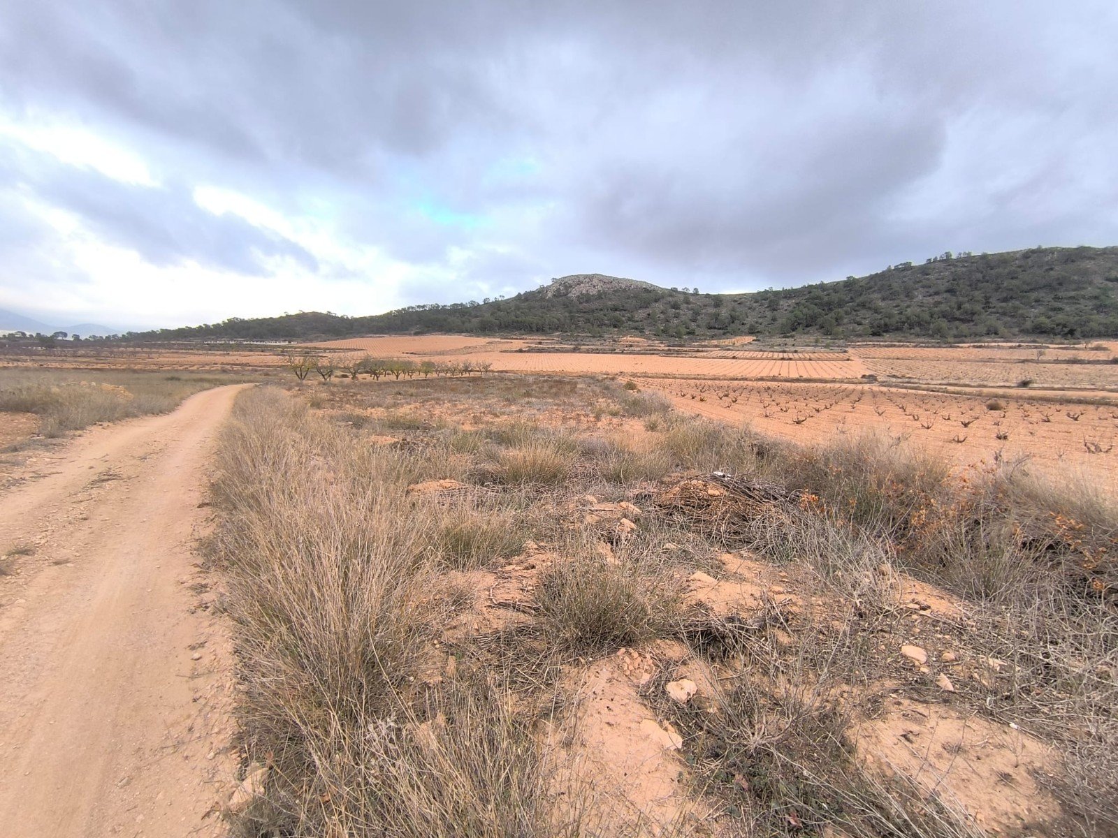 07bfebcc150b1848 3,775 m² Land in La Solana - Caza De Casa