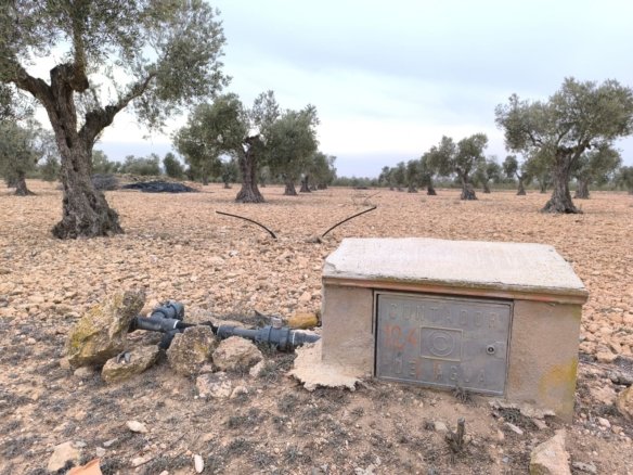 Land in Yecla - Caza De Casa