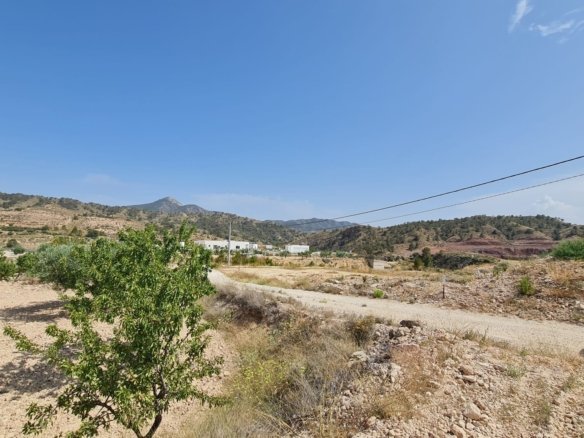 Land in Abanilla - Caza De Casa