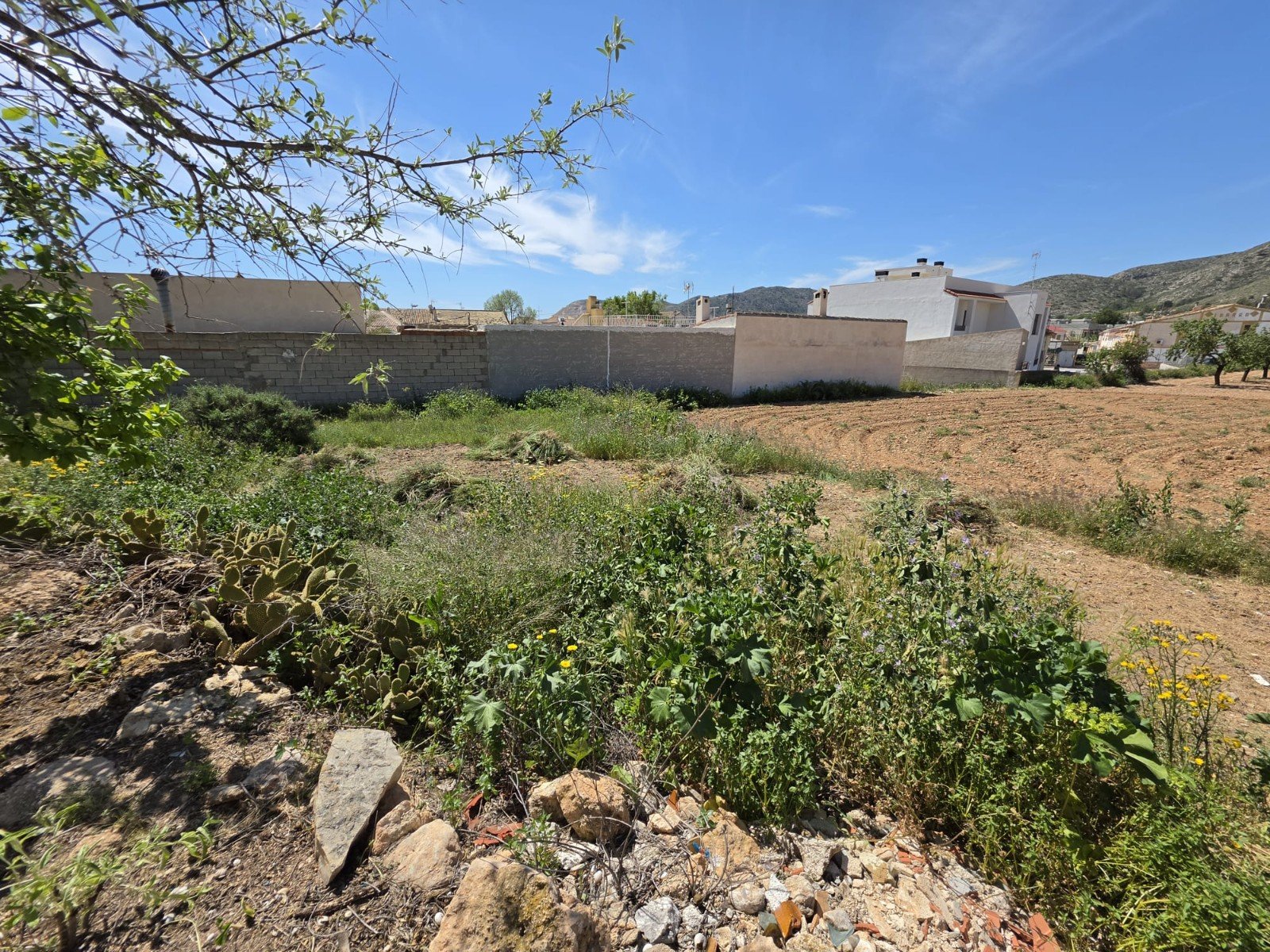 280 m² Land in La Canalosa - Caza De Casa
