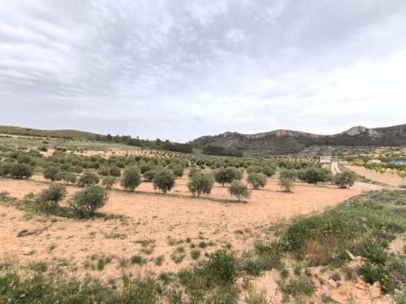 2 Bedroom Finca in Jumilla - Caza De Casa