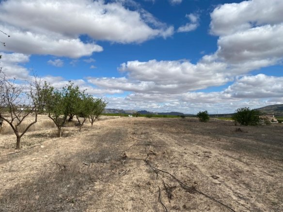 12,797 m² Land in Pinoso - Caza De Casa