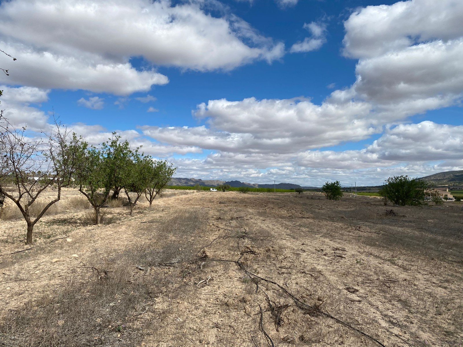 12,797 m² Land in Pinoso - Caza De Casa