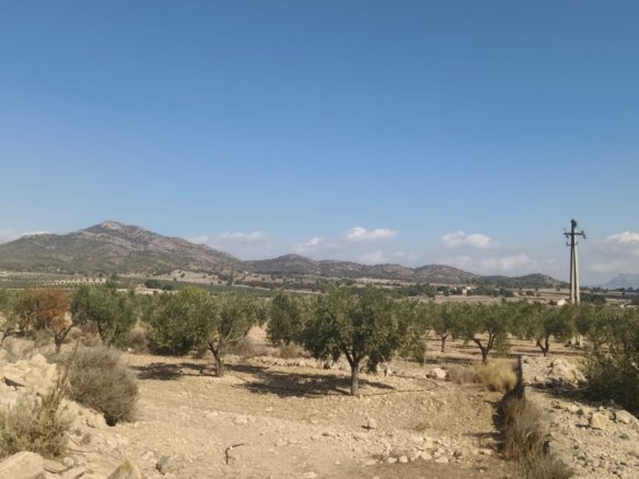 24,596 m² Land in Salinas - Caza De Casa