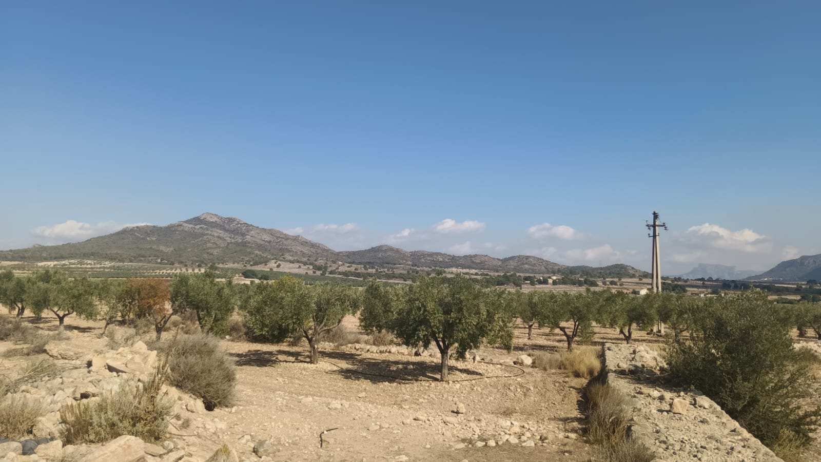 24,596 m² Land in Salinas - Caza De Casa