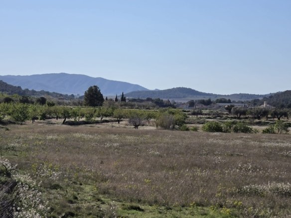Land in Monóvar/Monóver - Caza De Casa