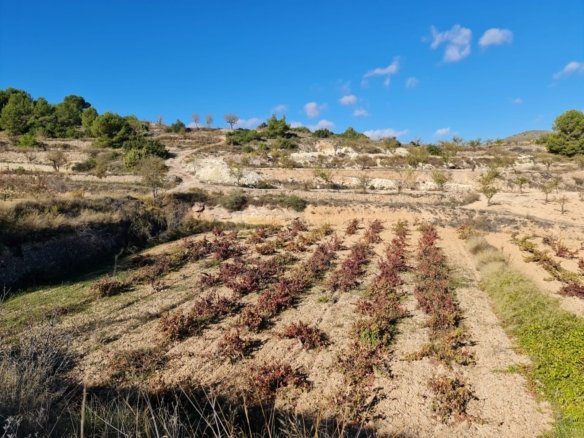 Land in La Romana - Caza De Casa