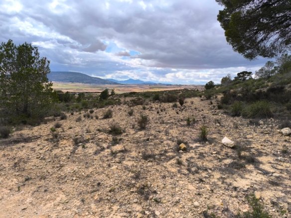 Land in Pinoso - Caza De Casa