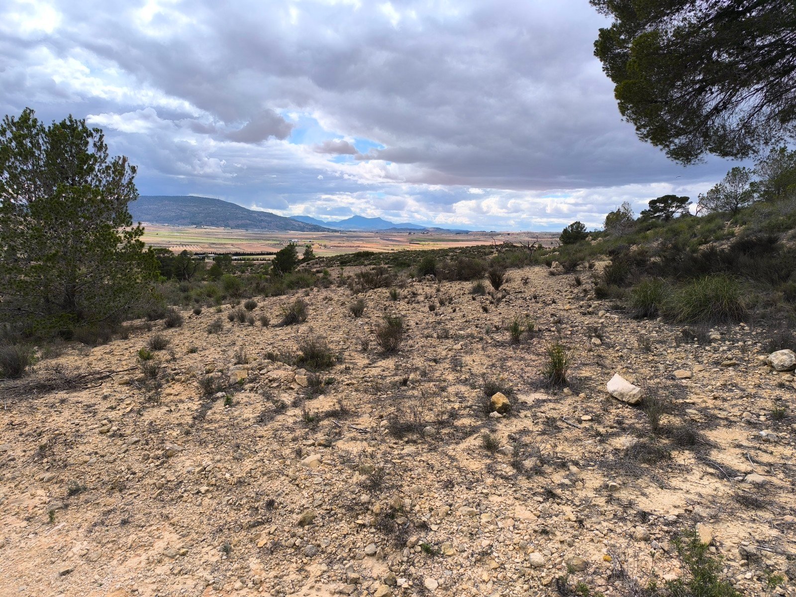 Land in Pinoso - Caza De Casa