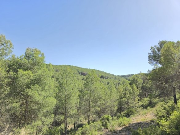 3 Bedroom 1 Bathroom Country House in Villena - Caza De Casa
