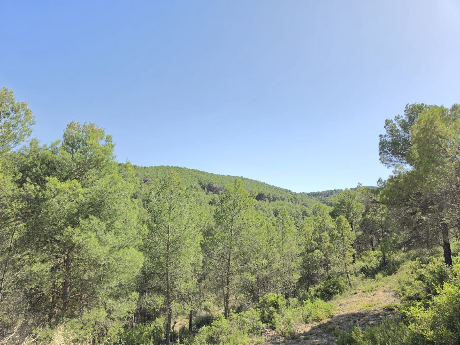 3 Bedroom 1 Bathroom Country House in Villena - Caza De Casa