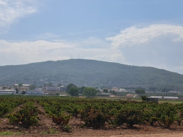 Land in Pinoso - Caza De Casa