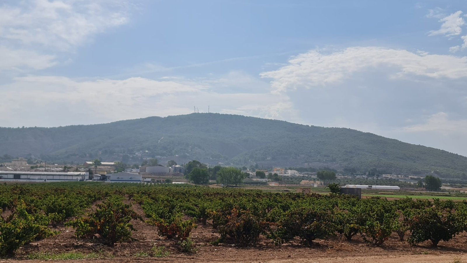 Land in Pinoso - Caza De Casa