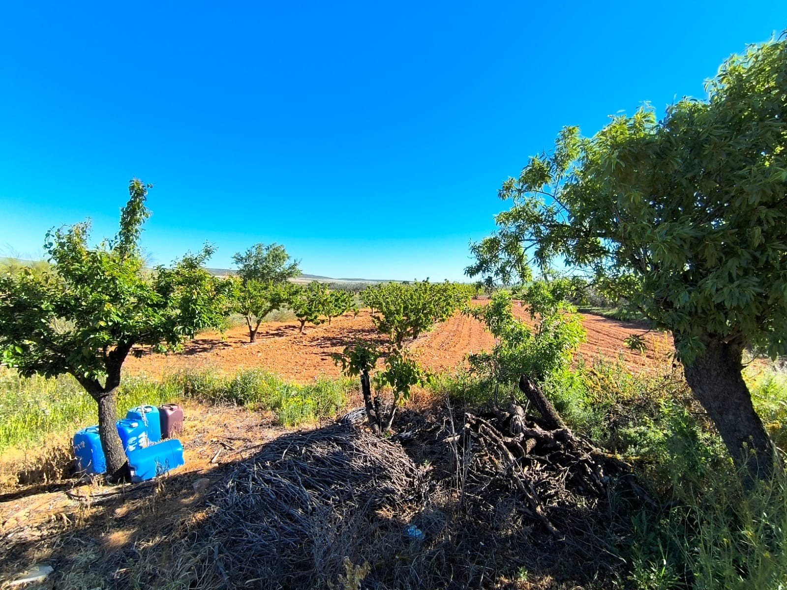 0c0a690e84380a5f 4 Bedroom 1 Bathroom Country House in Yecla - Caza De Casa