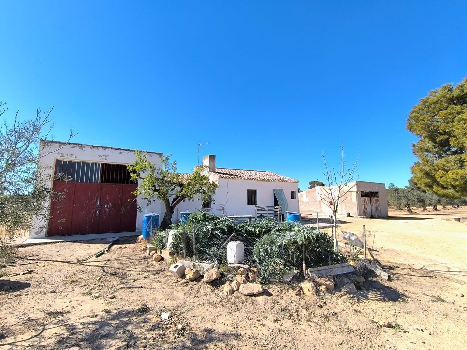 3 Bedroom 1 Bathroom Country House in Yecla - Caza De Casa