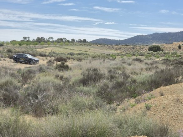 Land in Jumilla - Caza De Casa