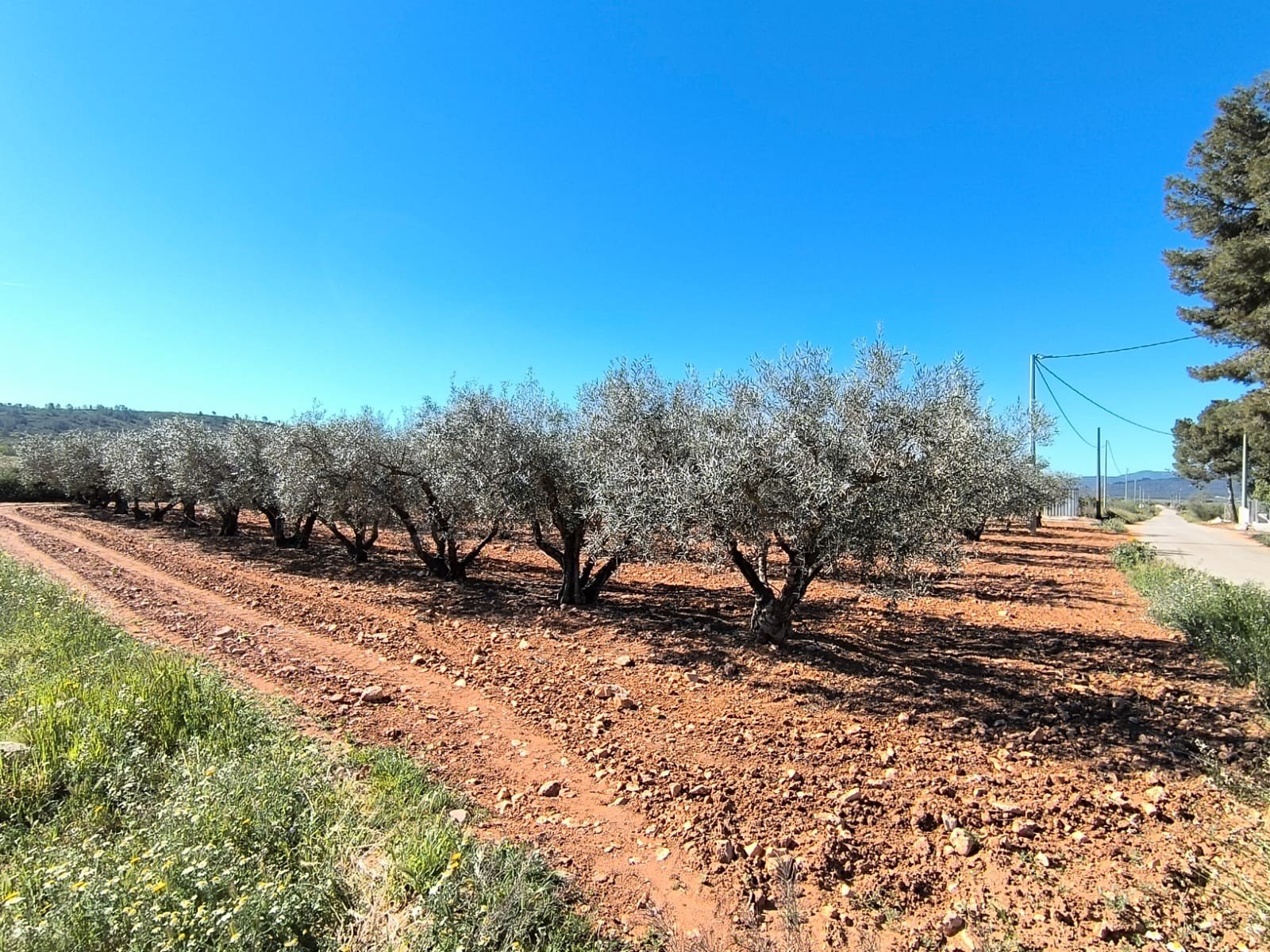 4 Bedroom 1 Bathroom Country House in Yecla - Caza De Casa