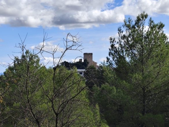 Land in Moratalla - Caza De Casa
