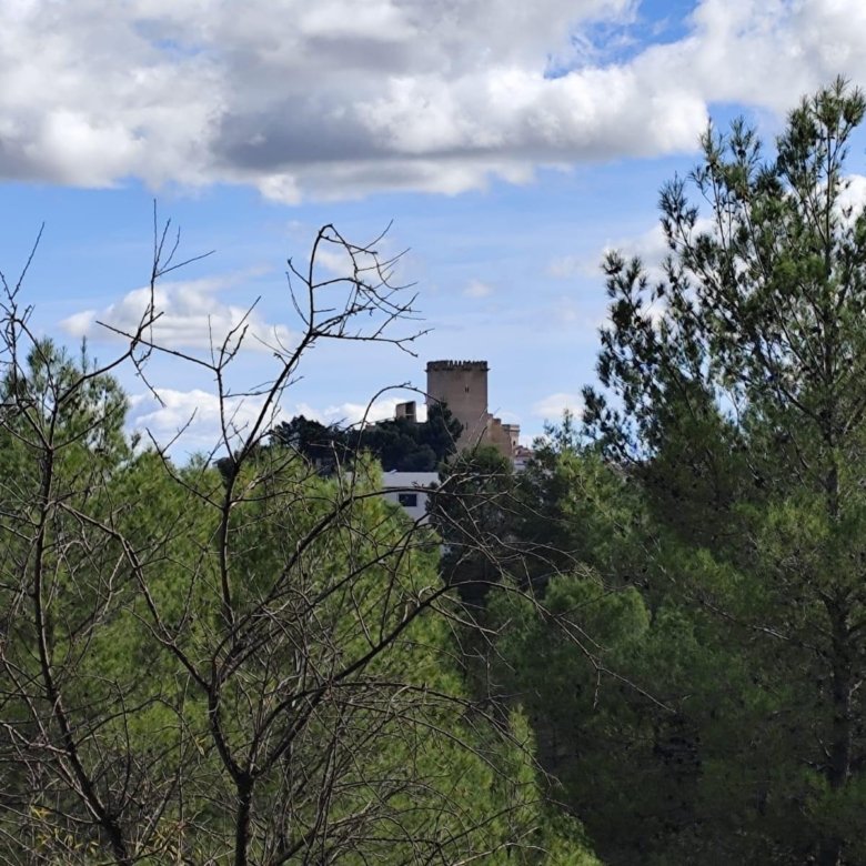 Land in Moratalla - Caza De Casa
