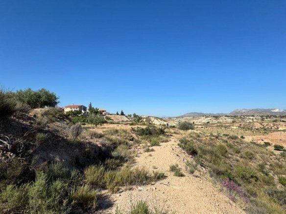 3,201 m² Land in Abanilla - Caza De Casa