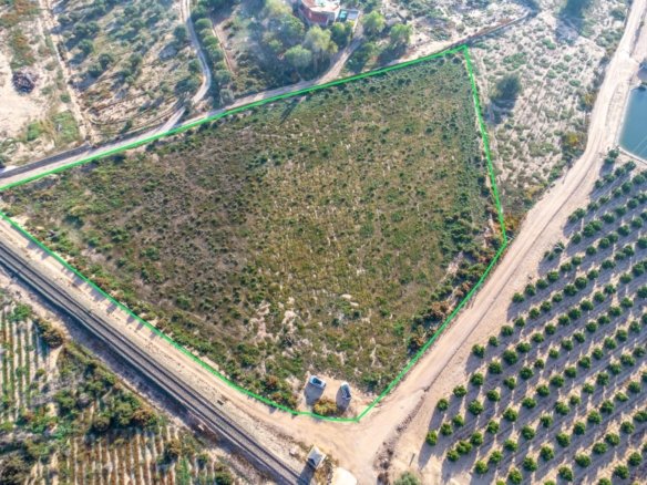 12,026 m² Land in Crevillent - Caza De Casa