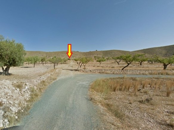2,500 m² Land in Hondón de las Nieves - Caza De Casa