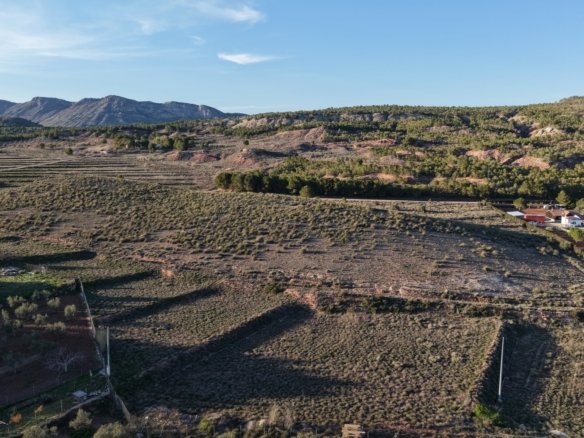 40,000 m² Land in Yecla - Caza De Casa