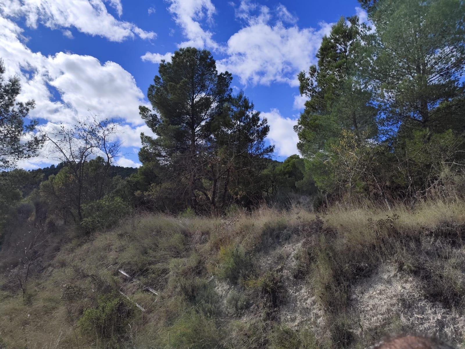 Land in Moratalla - Caza De Casa