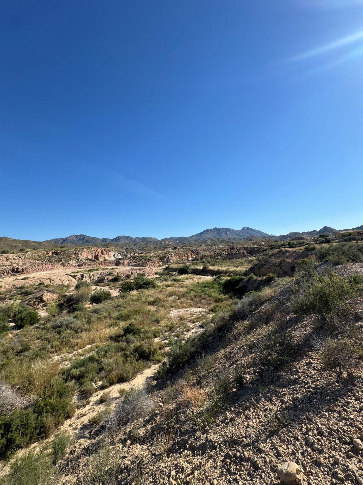 1-2 3,201 m² Land in Abanilla - Caza De Casa