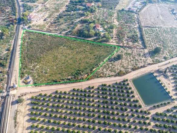 12,026 m² Land in Crevillent - Caza De Casa