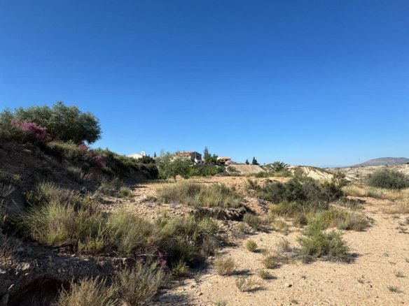 3,201 m² Land in Abanilla - Caza De Casa