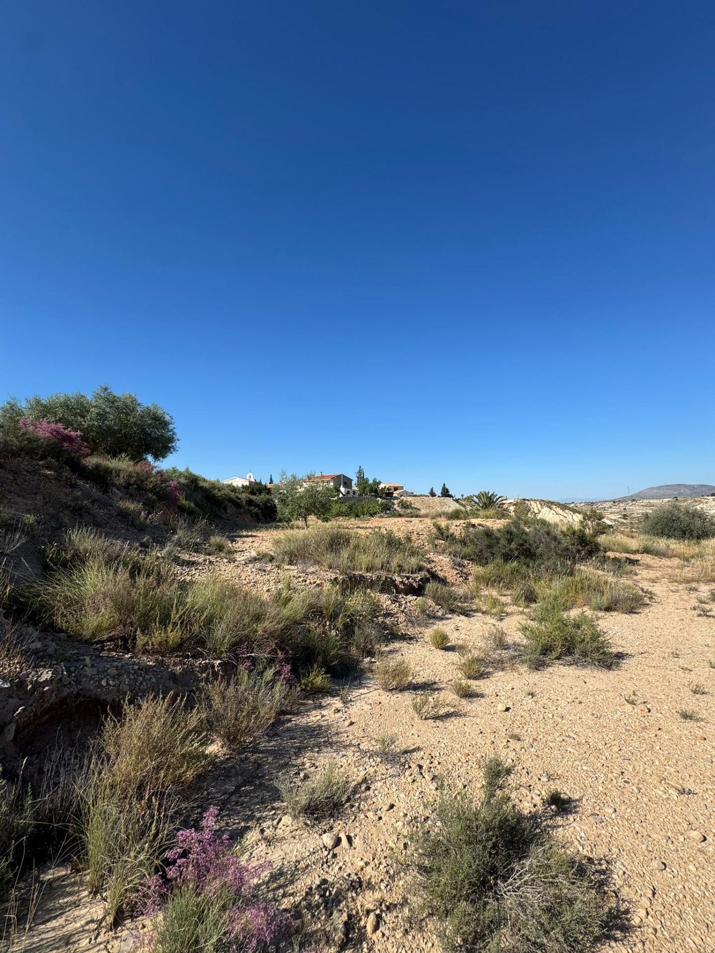 1-3 3,201 m² Land in Abanilla - Caza De Casa