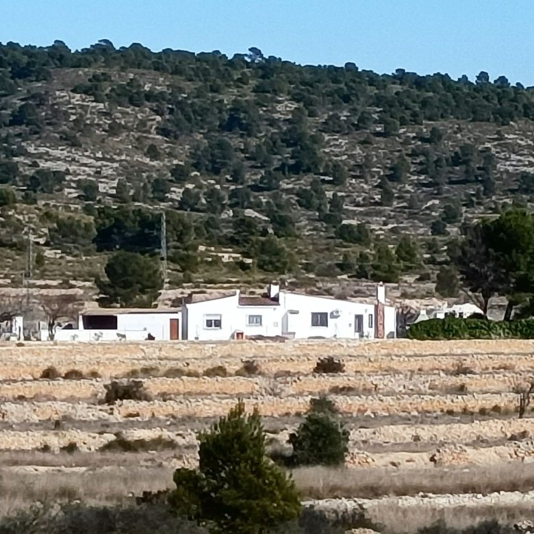23 Bedroom 1 Bathroom Country House in Monóvar - Caza De Casa