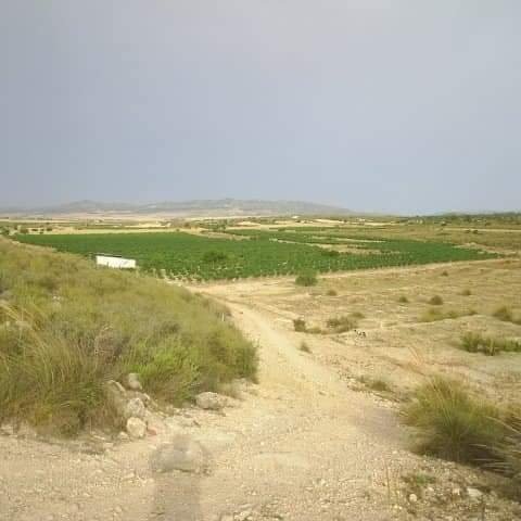 600 m² Land in Yecla - Caza De Casa