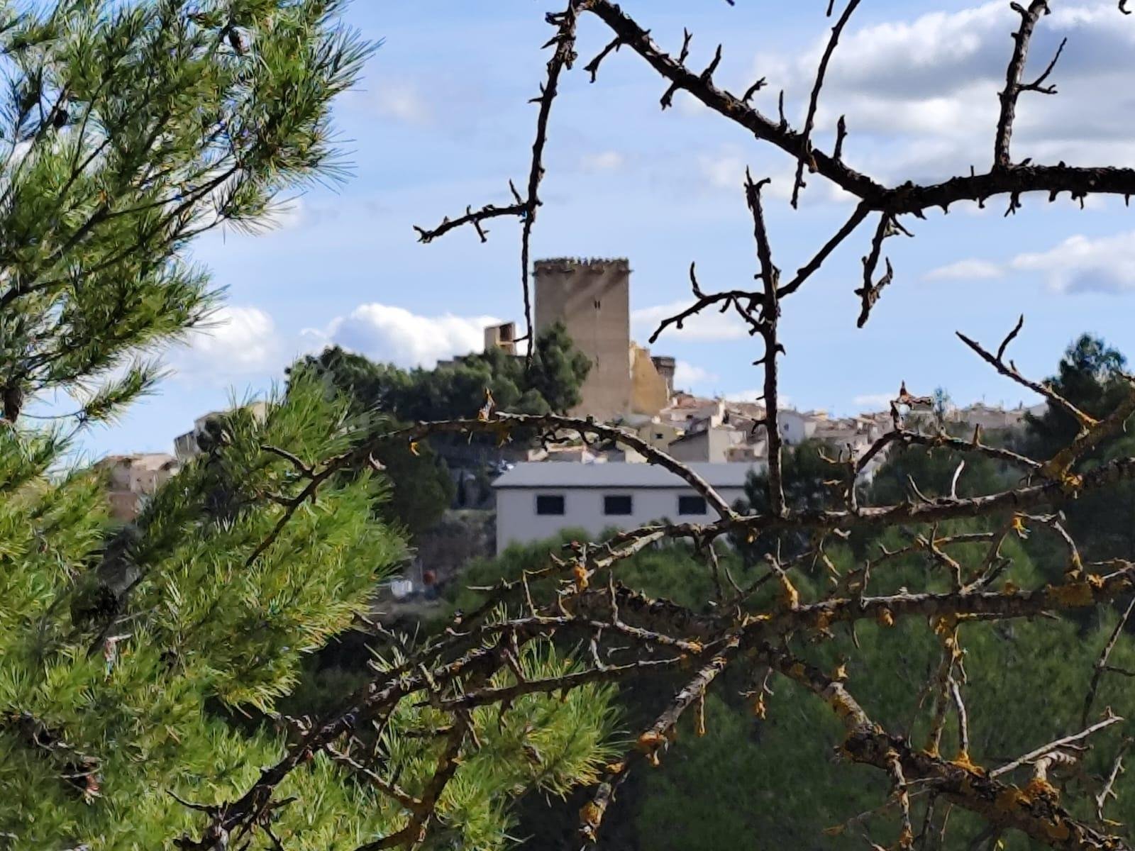 Land in Moratalla - Caza De Casa