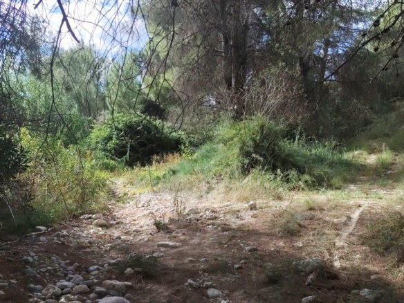 Land in Moratalla - Caza De Casa