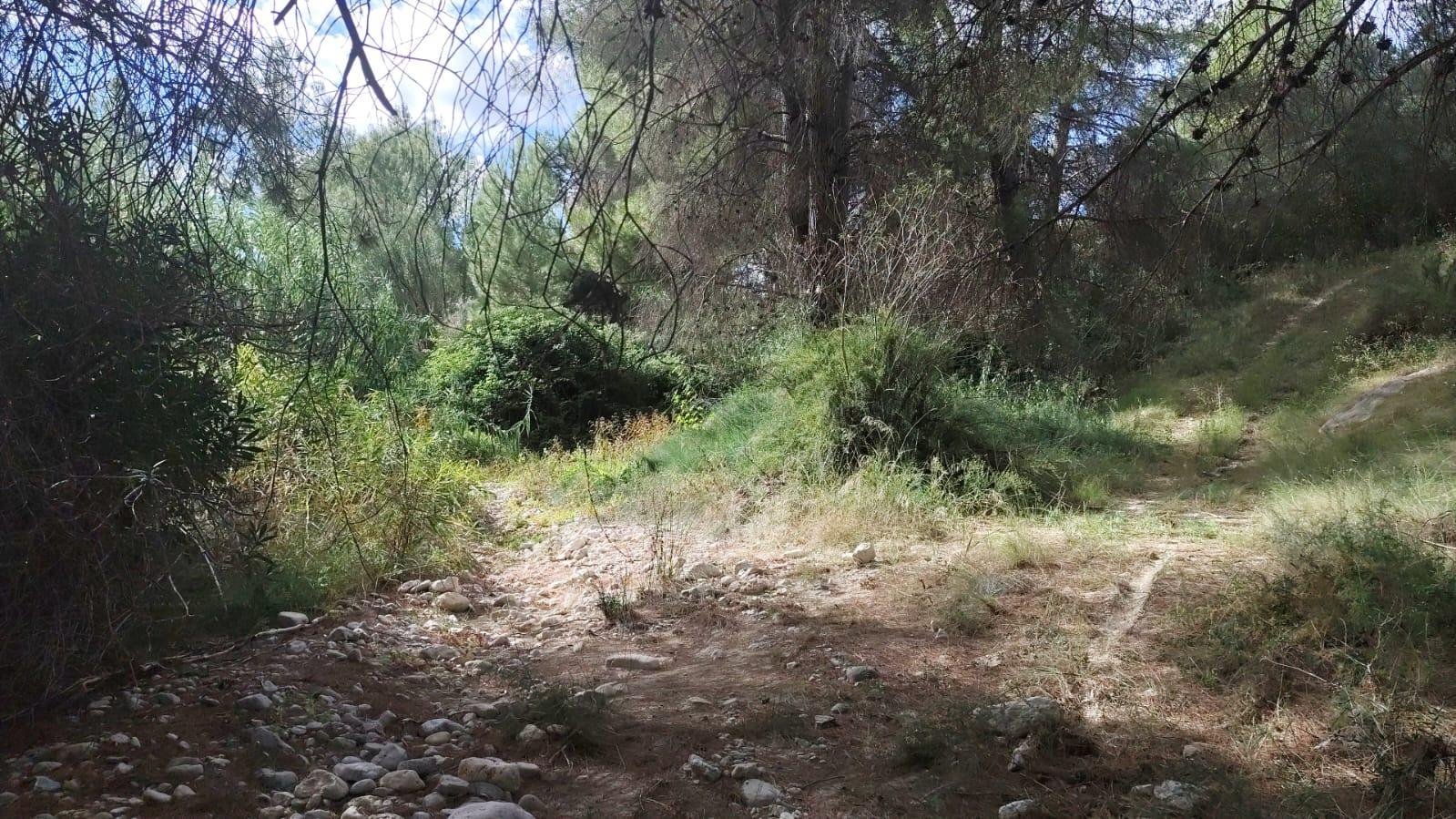 Land in Moratalla - Caza De Casa