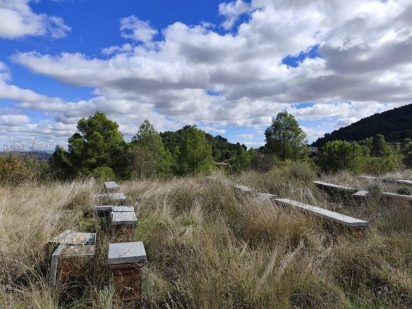 Land in Moratalla - Caza De Casa