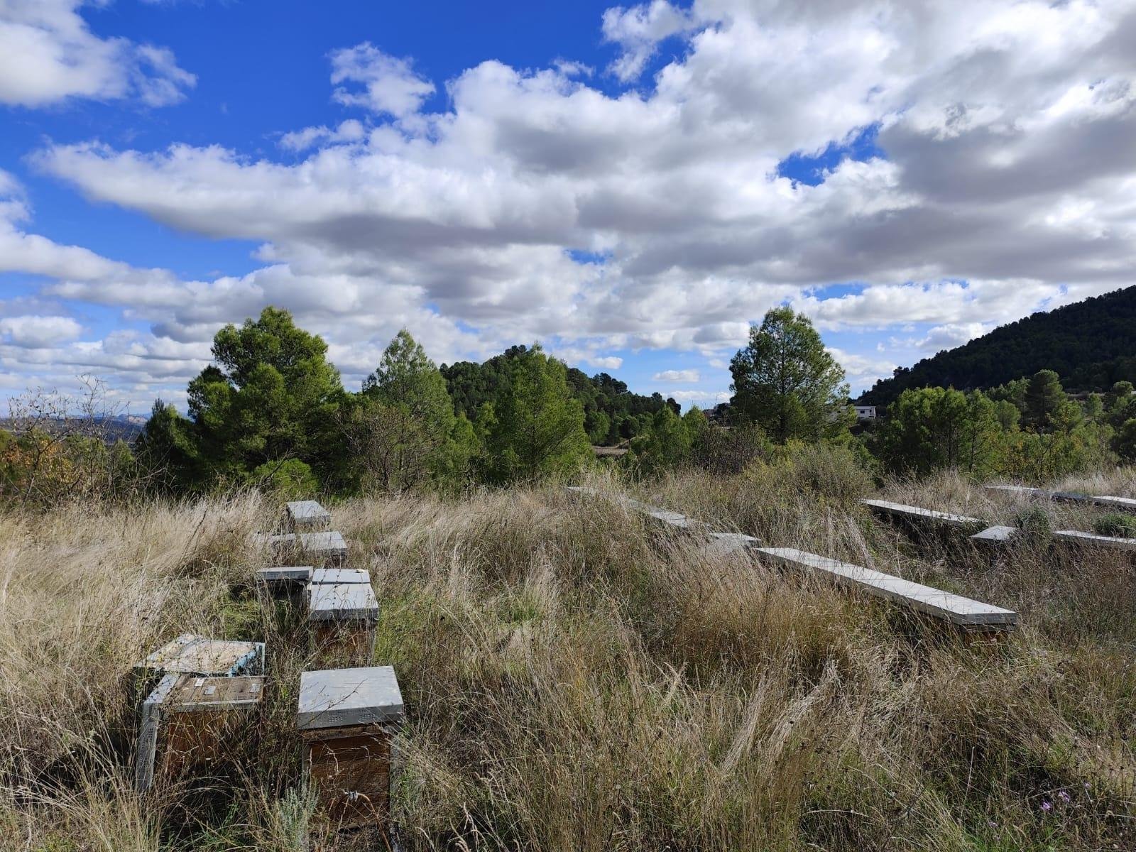 Land in Moratalla - Caza De Casa