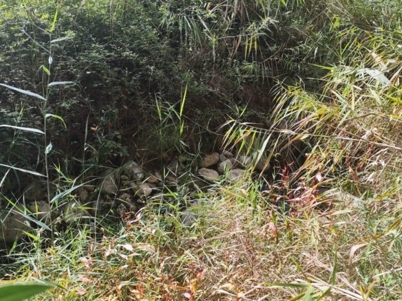 Land in Moratalla - Caza De Casa