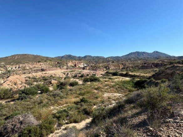 3,201 m² Land in Abanilla - Caza De Casa