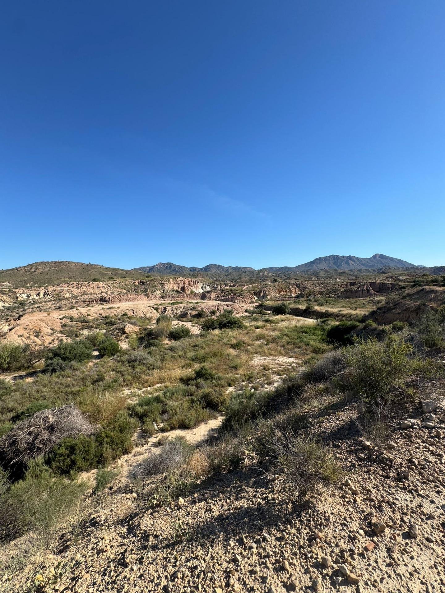 1-5 3,201 m² Land in Abanilla - Caza De Casa